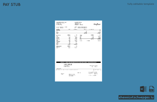 Paycor BWI North America, INC. – Beispiel einer Gewinn- und Verlustrechnung (Vorschau)
